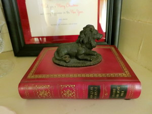 Another lion hanging out in my bookcase.