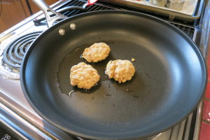 Place patties in a pan with a bit of oil.