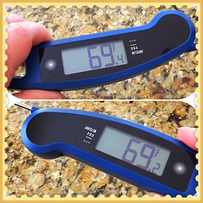Javelin Pro Duo Meat Thermometer Review – At Home With Kayla Price