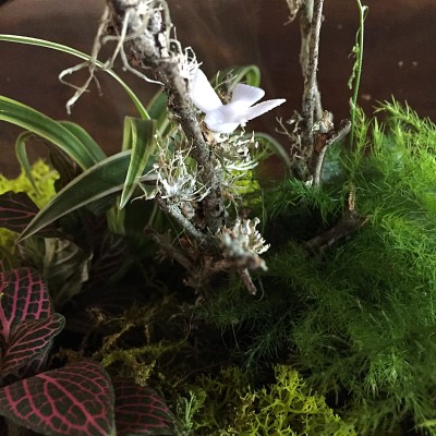 Close-up of a bird on a branch. There are so many sweet vignettes in the terrarium!