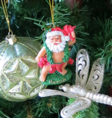 My Santa ornament collection makes me smile! Who can't love Santa in a hula skirt?