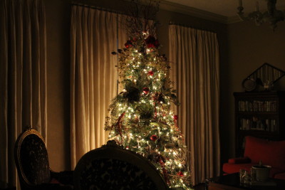 My tree at night, which is my favorite time to enjoy a Christmas tree.