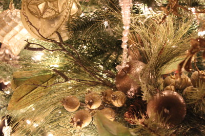 A close up of the tree.